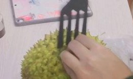 榴莲爆料视频在线观看,揭秘网络红人幕后真相