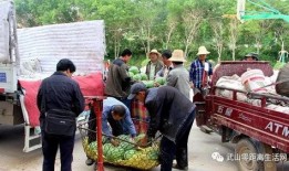 息县吃瓜群众爆料最新消息,吃瓜群众揭秘惊人内幕